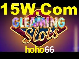 Platform Technology hoho66